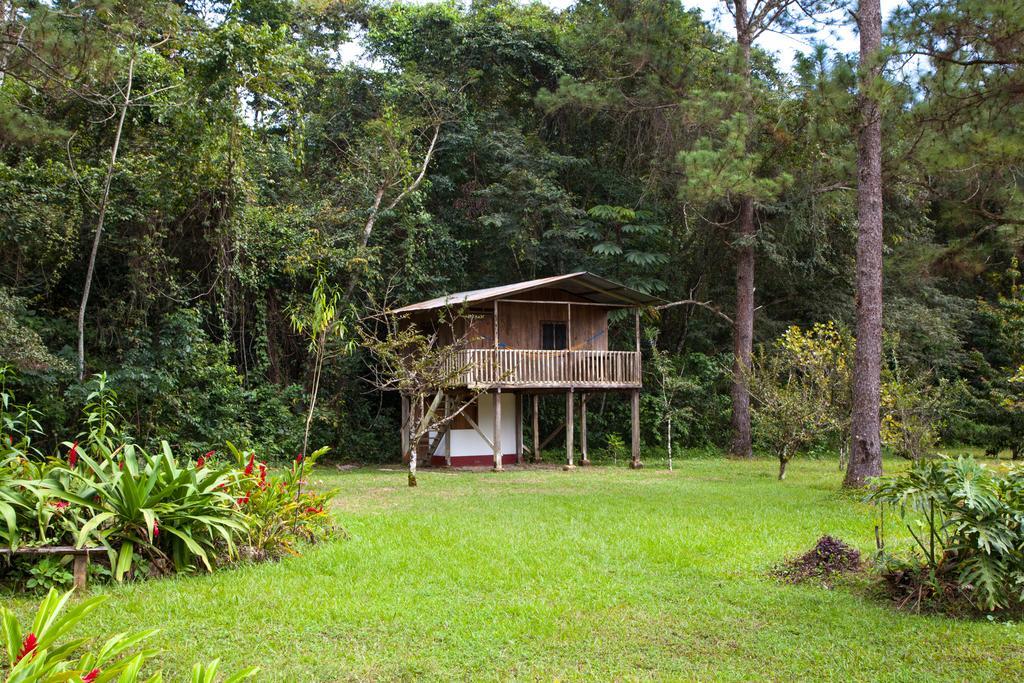 Finca Ixobel Номер фото